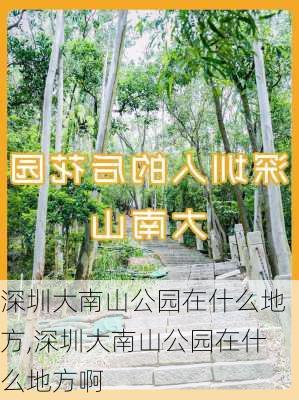 深圳大南山公园在什么地方,深圳大南山公园在什么地方啊