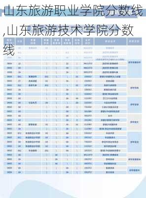 山东旅游职业学院分数线,山东旅游技术学院分数线