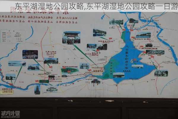 东平湖湿地公园攻略,东平湖湿地公园攻略一日游