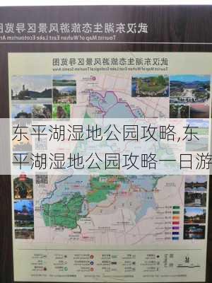 东平湖湿地公园攻略,东平湖湿地公园攻略一日游