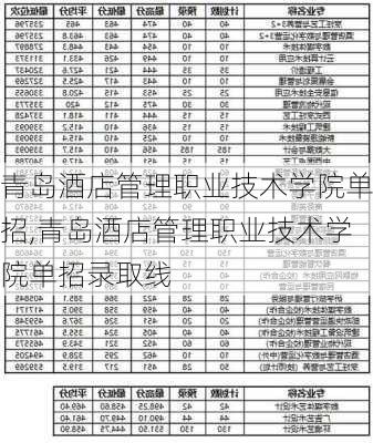 青岛酒店管理职业技术学院单招,青岛酒店管理职业技术学院单招录取线