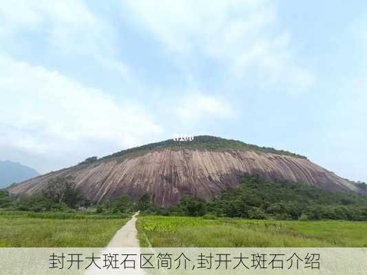 封开大斑石区简介,封开大斑石介绍