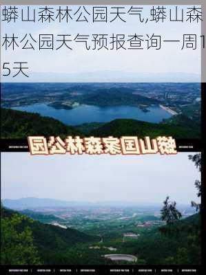 蟒山森林公园天气,蟒山森林公园天气预报查询一周15天