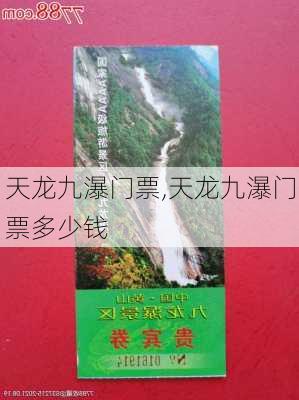 天龙九瀑门票,天龙九瀑门票多少钱