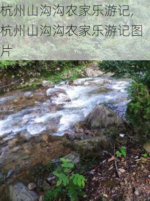 杭州山沟沟农家乐游记,杭州山沟沟农家乐游记图片