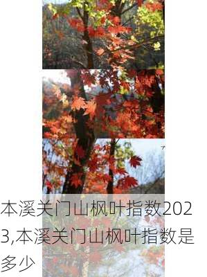 本溪关门山枫叶指数2023,本溪关门山枫叶指数是多少