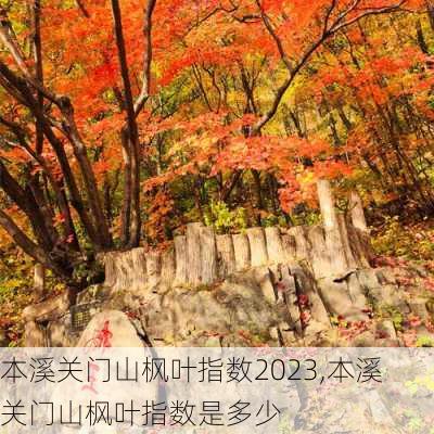 本溪关门山枫叶指数2023,本溪关门山枫叶指数是多少