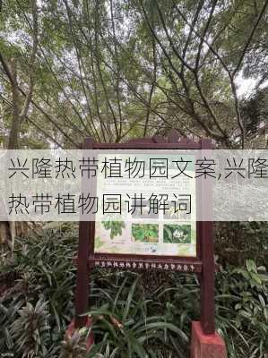 兴隆热带植物园文案,兴隆热带植物园讲解词