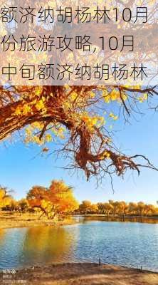 额济纳胡杨林10月份旅游攻略,10月中旬额济纳胡杨林