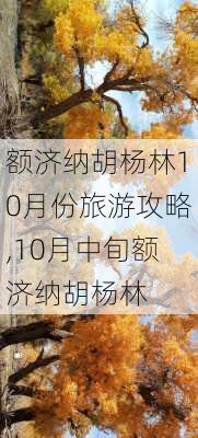 额济纳胡杨林10月份旅游攻略,10月中旬额济纳胡杨林