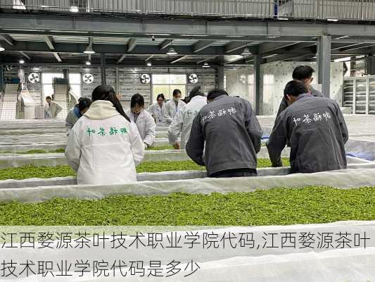 江西婺源茶叶技术职业学院代码,江西婺源茶叶技术职业学院代码是多少