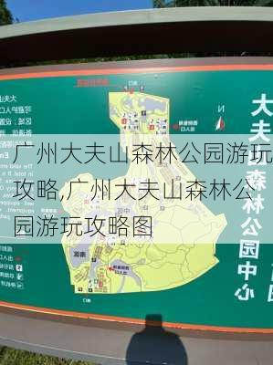 广州大夫山森林公园游玩攻略,广州大夫山森林公园游玩攻略图