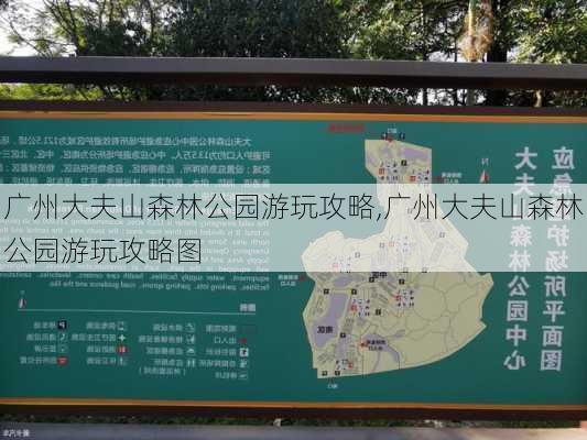 广州大夫山森林公园游玩攻略,广州大夫山森林公园游玩攻略图