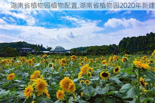 湖南省植物园植物配置,湖南省植物园2020年新建