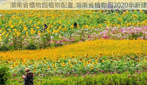 湖南省植物园植物配置,湖南省植物园2020年新建