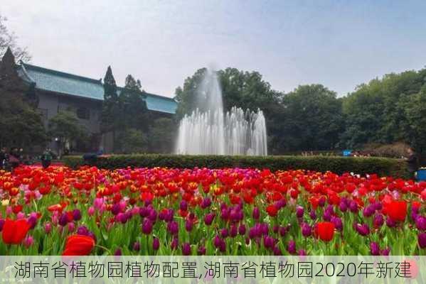 湖南省植物园植物配置,湖南省植物园2020年新建