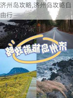 济州岛攻略,济州岛攻略自由行