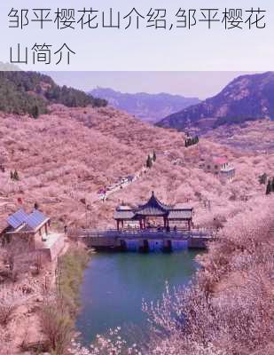 邹平樱花山介绍,邹平樱花山简介