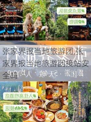 张家界报当地旅游团,张家界报当地旅游团接站安全吗