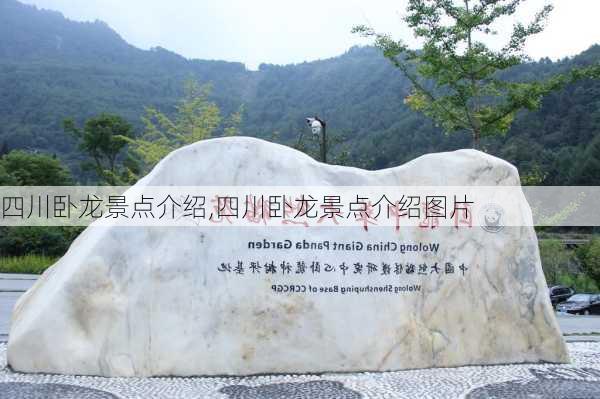 四川卧龙景点介绍,四川卧龙景点介绍图片