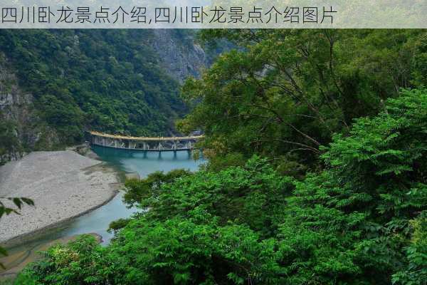 四川卧龙景点介绍,四川卧龙景点介绍图片