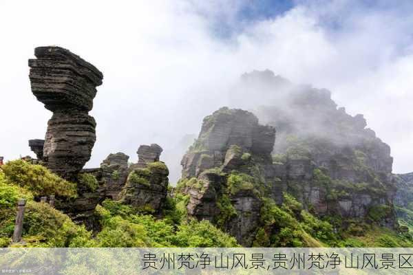 贵州梵净山风景,贵州梵净山风景区