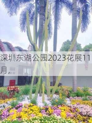 深圳东湖公园2023花展11月,