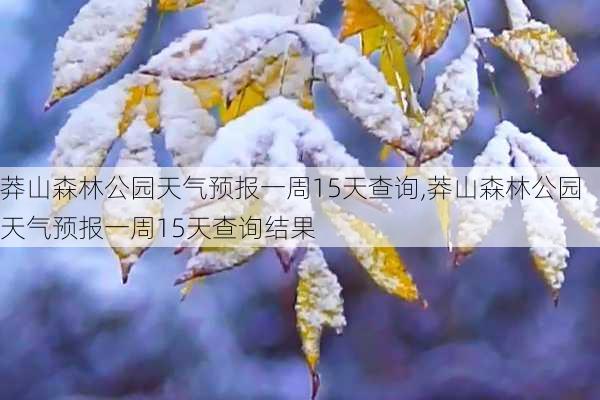 莽山森林公园天气预报一周15天查询,莽山森林公园天气预报一周15天查询结果