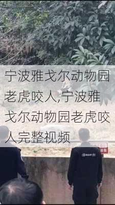 宁波雅戈尔动物园老虎咬人,宁波雅戈尔动物园老虎咬人完整视频