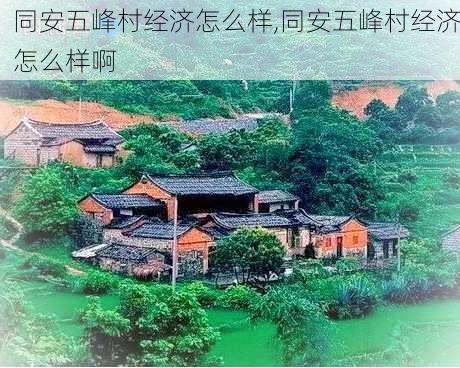 同安五峰村经济怎么样,同安五峰村经济怎么样啊