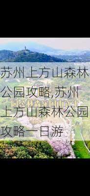 苏州上方山森林公园攻略,苏州上方山森林公园攻略一日游