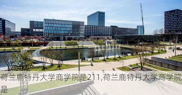 荷兰鹿特丹大学商学院是211,荷兰鹿特丹大学商学院是