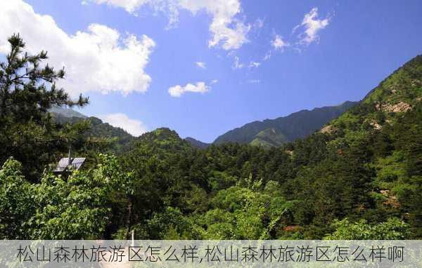 松山森林旅游区怎么样,松山森林旅游区怎么样啊