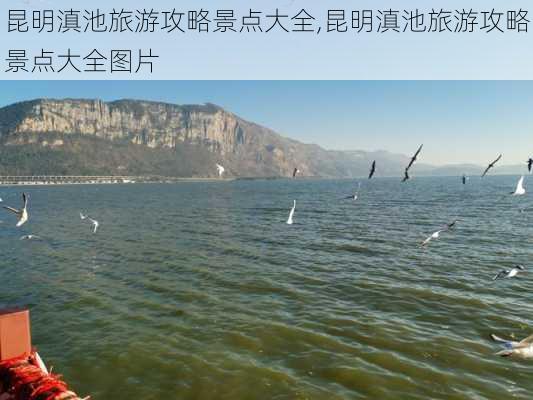 昆明滇池旅游攻略景点大全,昆明滇池旅游攻略景点大全图片