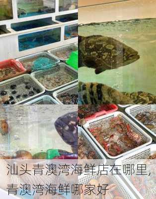 汕头青澳湾海鲜店在哪里,青澳湾海鲜哪家好