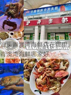 汕头青澳湾海鲜店在哪里,青澳湾海鲜哪家好