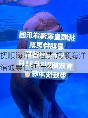 抚顺海洋馆通票,抚顺海洋馆通票包括什么