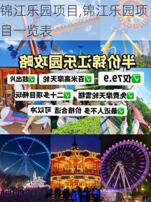 锦江乐园项目,锦江乐园项目一览表