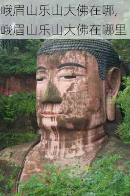 峨眉山乐山大佛在哪,峨眉山乐山大佛在哪里