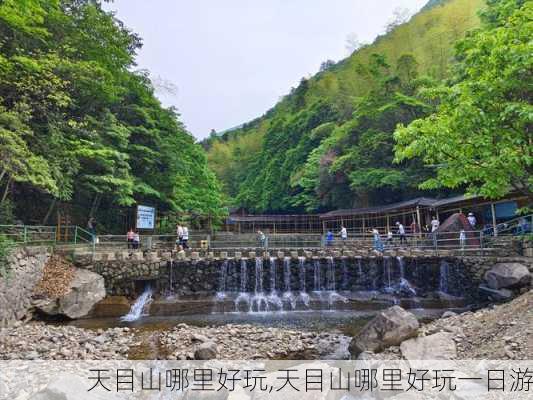 天目山哪里好玩,天目山哪里好玩一日游