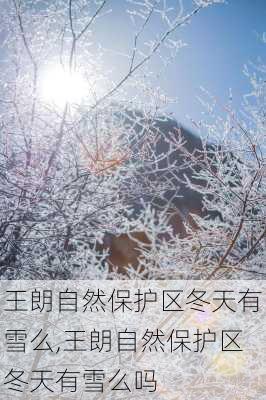 王朗自然保护区冬天有雪么,王朗自然保护区冬天有雪么吗