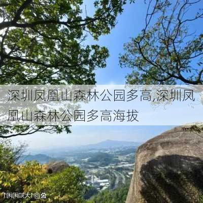 深圳凤凰山森林公园多高,深圳凤凰山森林公园多高海拔