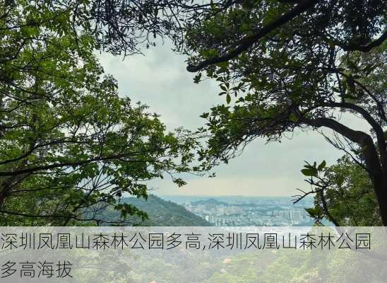 深圳凤凰山森林公园多高,深圳凤凰山森林公园多高海拔