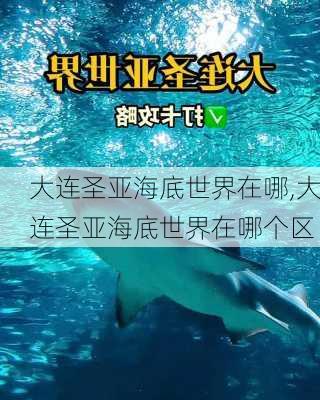 大连圣亚海底世界在哪,大连圣亚海底世界在哪个区