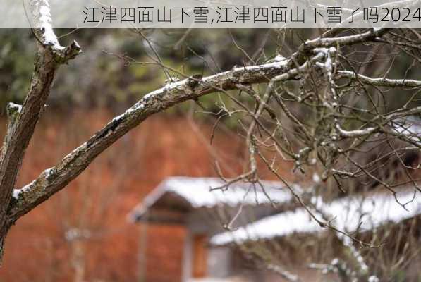 江津四面山下雪,江津四面山下雪了吗2024