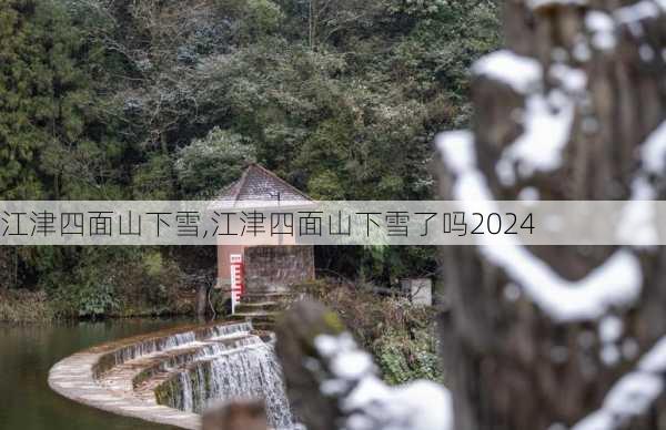 江津四面山下雪,江津四面山下雪了吗2024