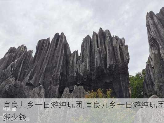 宜良九乡一日游纯玩团,宜良九乡一日游纯玩团多少钱