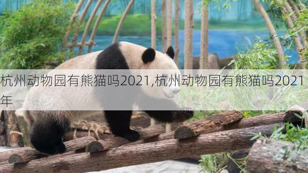 杭州动物园有熊猫吗2021,杭州动物园有熊猫吗2021年