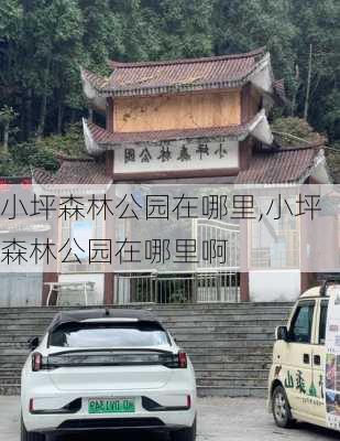 小坪森林公园在哪里,小坪森林公园在哪里啊