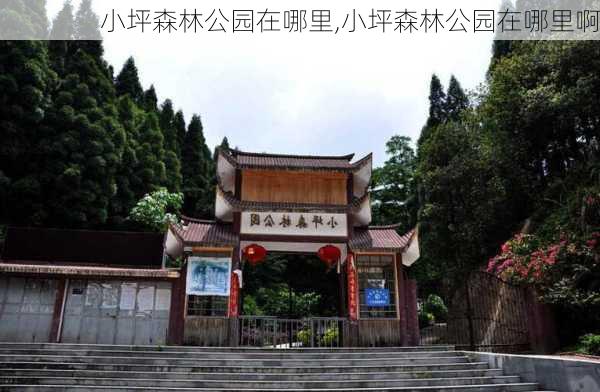 小坪森林公园在哪里,小坪森林公园在哪里啊